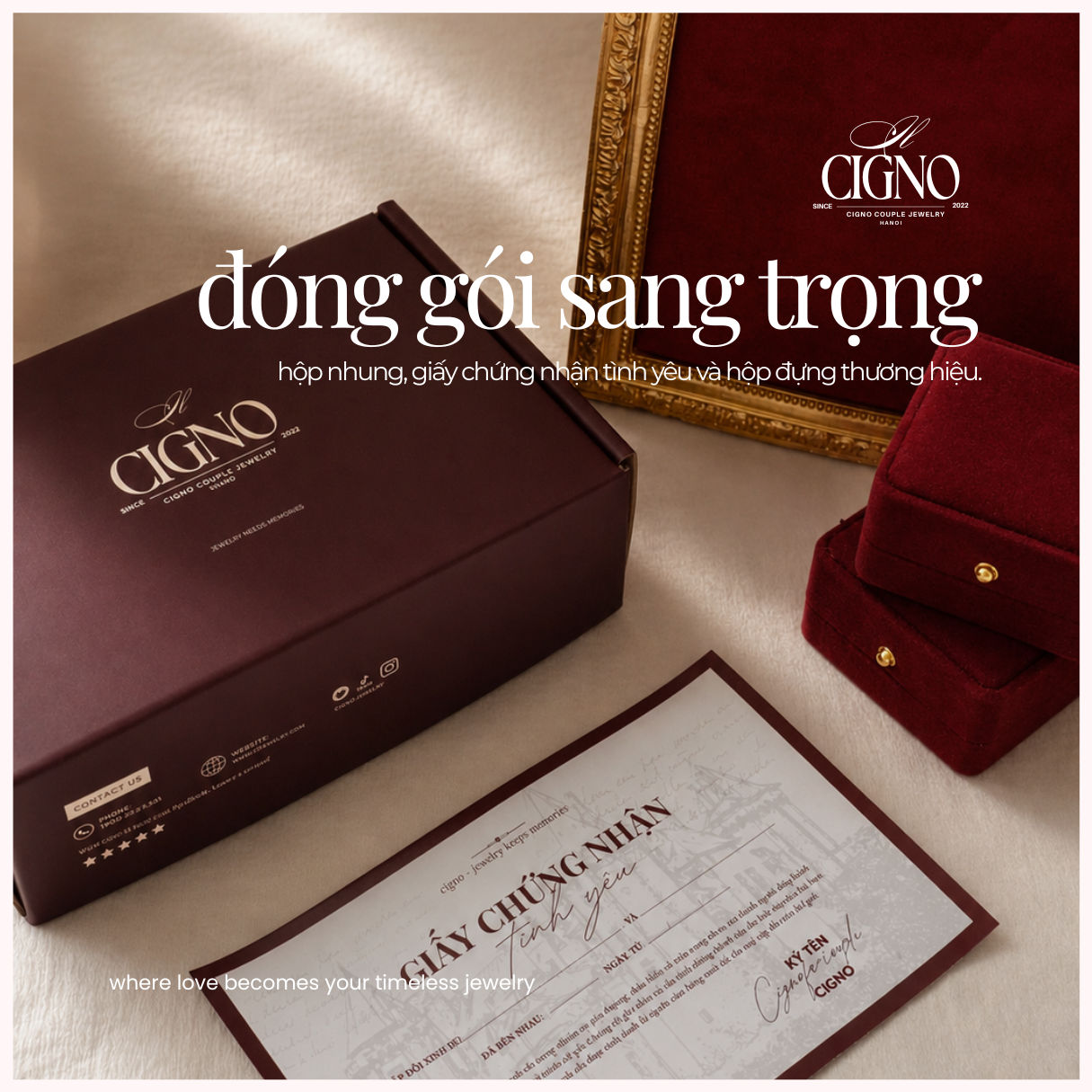 Nhẫn đôi Bạc 925 phủ Bạch kim cao cấp Amour Vein CIGNO - Ảnh 11
