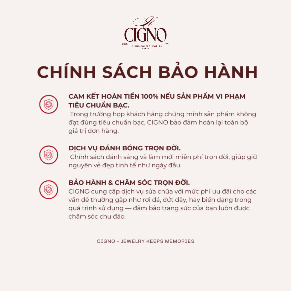 Nhẫn đôi Bạc 925 phủ Bạch kim cao cấp Tie The Knot CIGNO - Ảnh 13