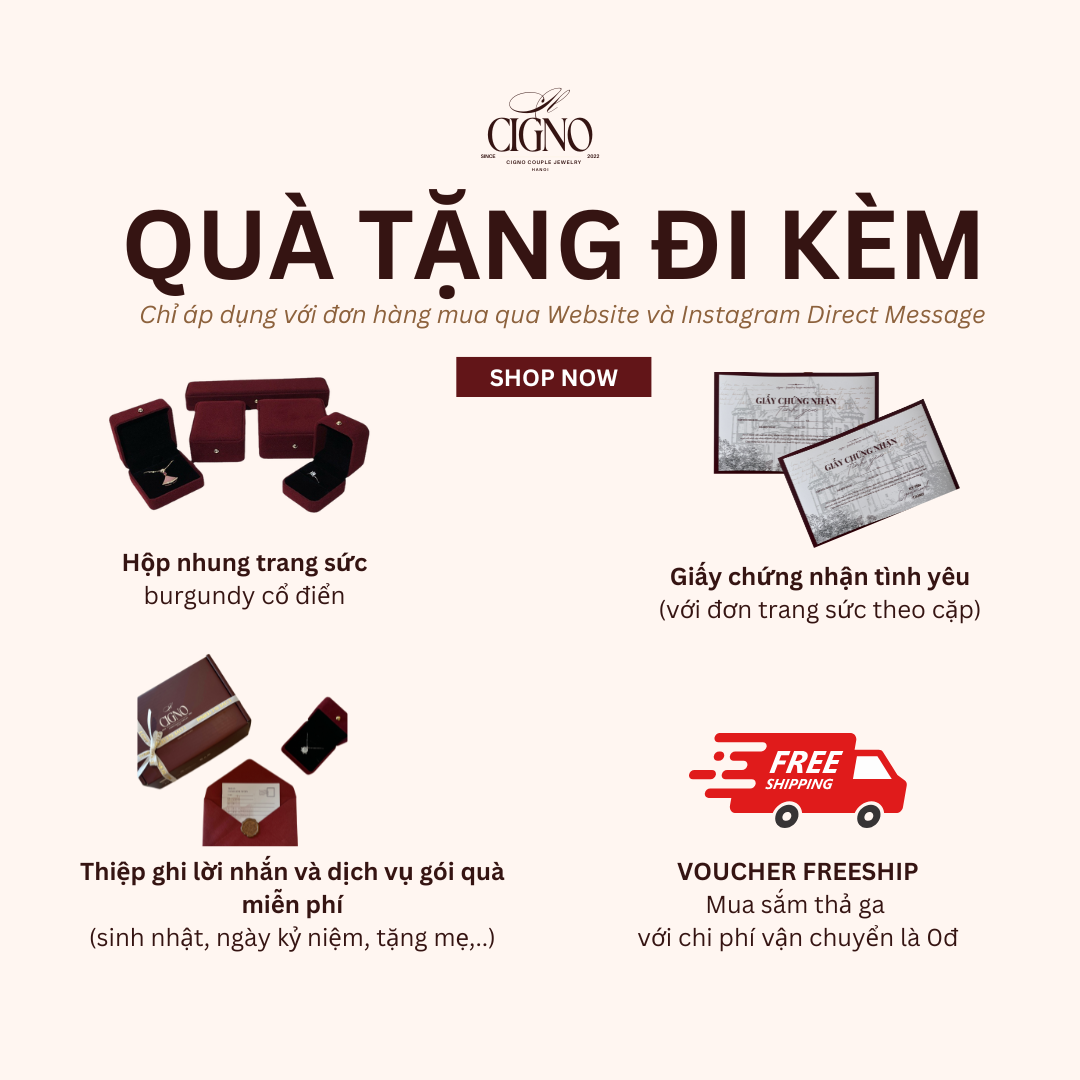 CIGNO - Khuyên tai Mirel Bạc 925 cao cấp phủ bóng Bạch kim 4 lớp - Ảnh 8