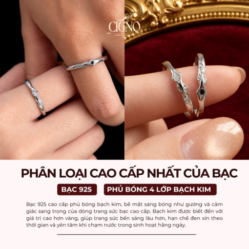 Alternative view of |BẠC 925| Nhẫn đôi Bạc 925 phủ Bạch kim cao cấp Harmonia CIGNO